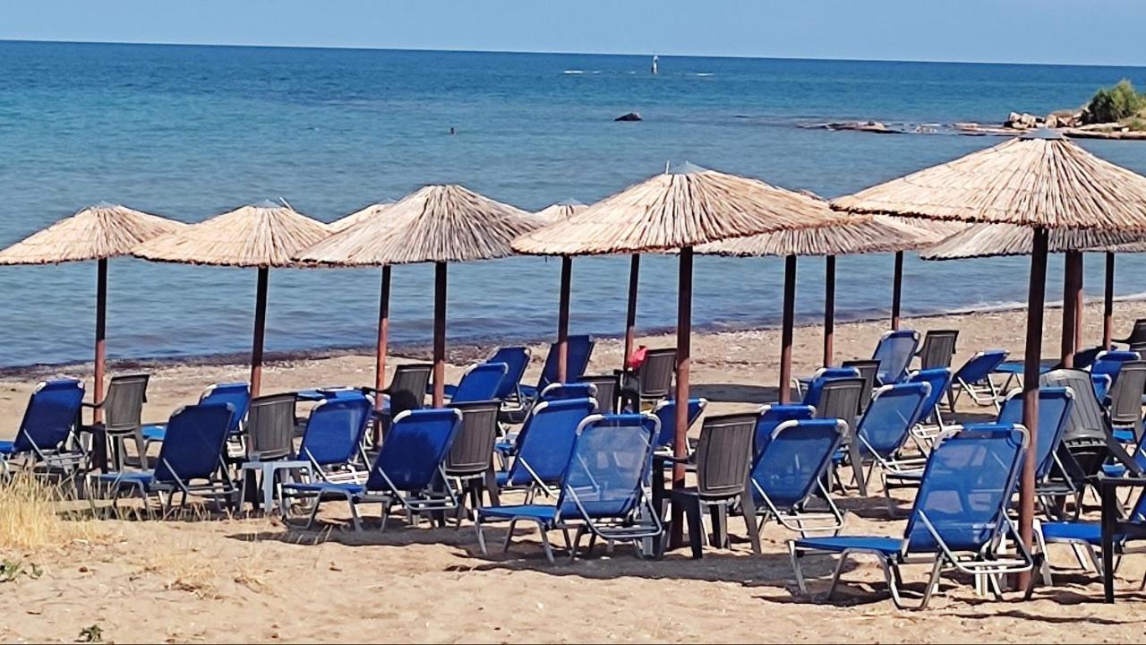 Апартаменты Beautiful Choice - Near Athens Airport - 50M From The Sea - Iq+ Луца Экстерьер фото